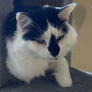 Meet your Posher, Nicole